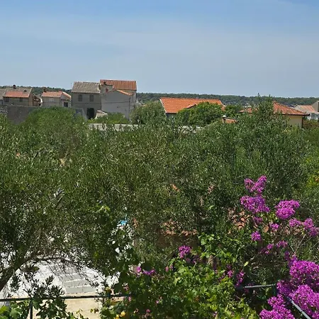 Castelana *