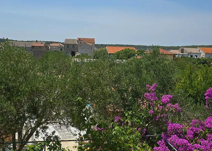 Castelana *