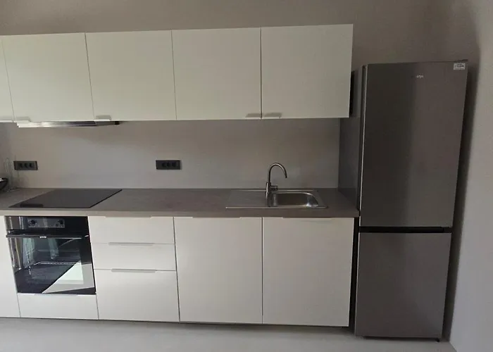 Castelana Apartment *